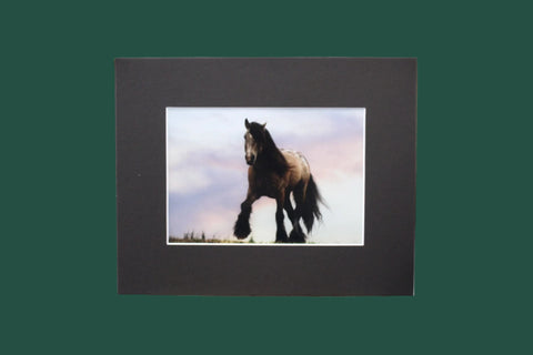 Genna Card Photography Evening Watch Horse at Dusk
