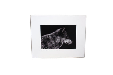 Genna Card Midnight Watch Wolf Print