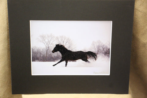 Genna Card Winter Gallop
