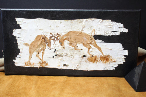 Locked in Battle Birch Bark Art by Carol Schulte