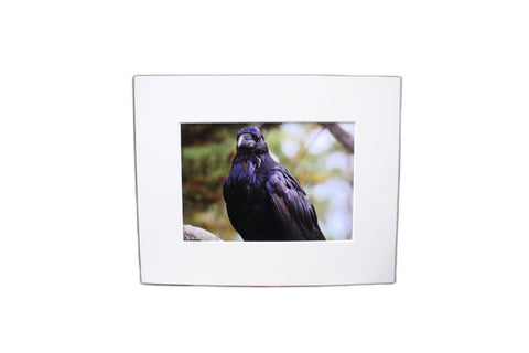 Genna Card Regal Raven Print