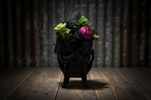 Gothic Skull Halloween Planter Décor