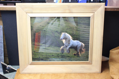 Genna Card Photography Framed White Horse Print