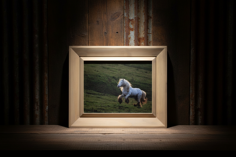 Genna Card Photography Framed White Horse Print
