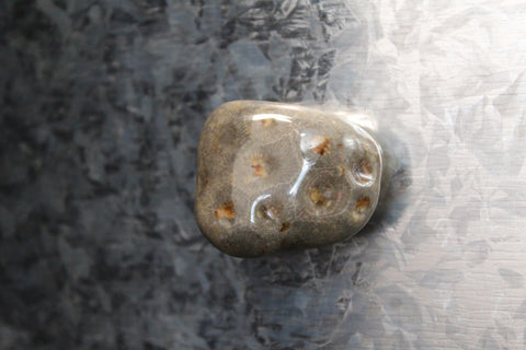 Petoskey Stone Magnet