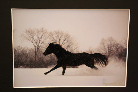 Genna Card Gallop Through Winter Print