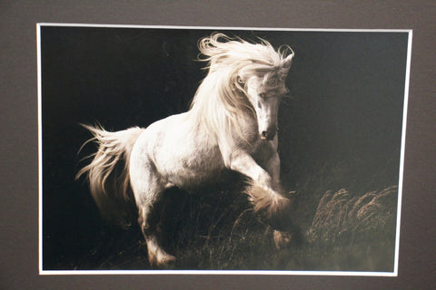 Genna Card Wild Ivory