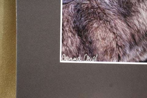 Genna Card Lone Gaze Wolf Print