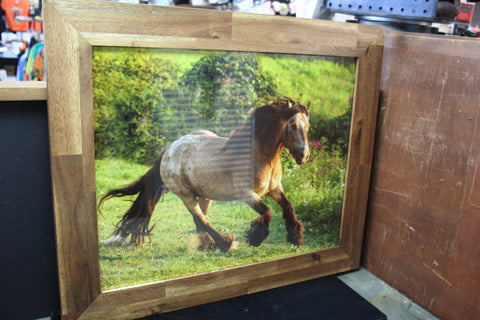 Design Horse Brown Genna Card Wall Art & Prints