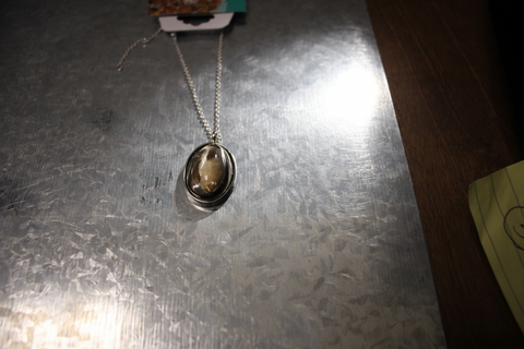 Petoskey Stone Silver Necklace