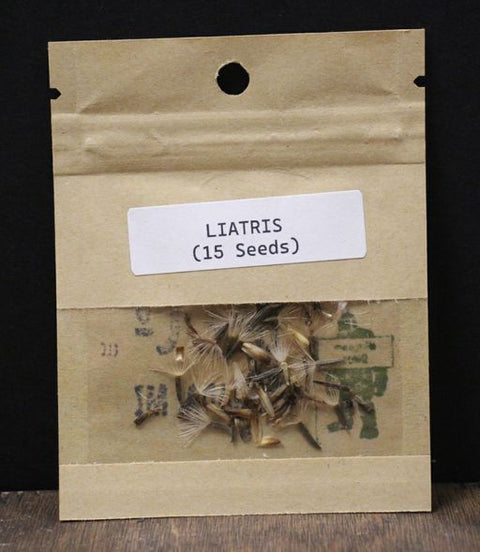 Liatris Seeds (15) by Bigfoot Bee Co.