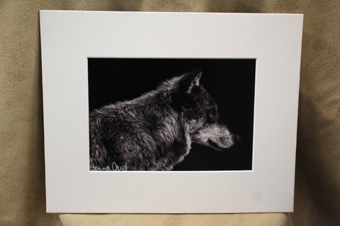 Genna Card Midnight Watch Wolf Print