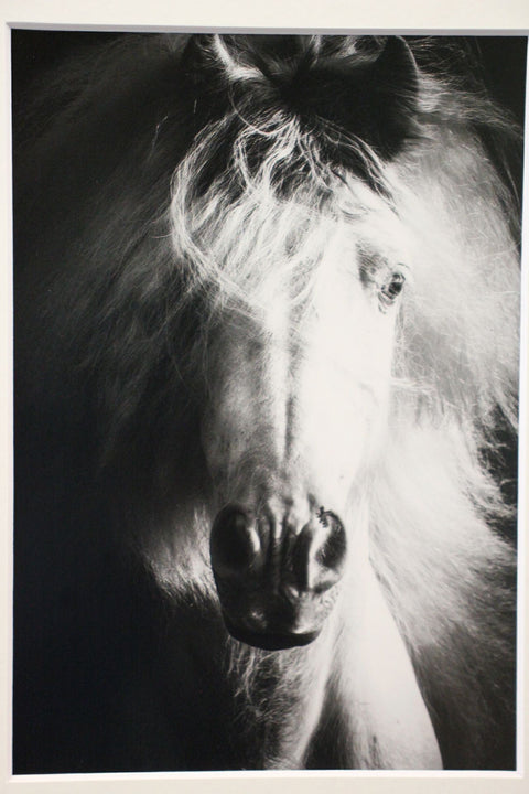 Genna Card Photography Storm Spirit