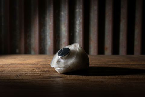 Petoskey Stone Magnet