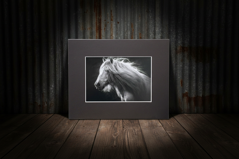 Genna Card Photography Wild Grace Horse Portrait