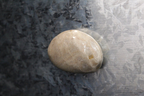 Petoskey Stone Magnet