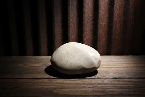 Petoskey Stone Magnet