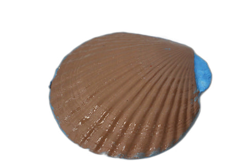 Outrageously Millie – Animal Lover Shell Trinket Dish