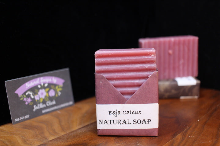 Natural Handmade Baja Cactus Soap by JoEllen Clark