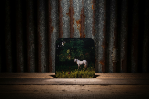 White Horse in Forest Photo Cork-Backed Coaster