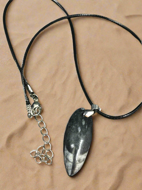 Orthoceras Necklace by Pirate Booty and Crystal Treasures