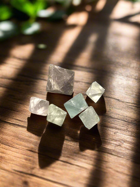 Fluorite Octahedrons by Pirate Booty and Crystal Treasures