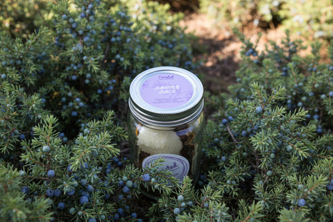 Twisted Craft Cocktails Juniper Juice Infusion Jar
