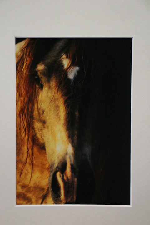 Genna Card Photography Golden Still