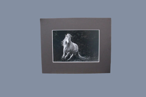 Genna Card Photography Forest Spirit White Horse Running