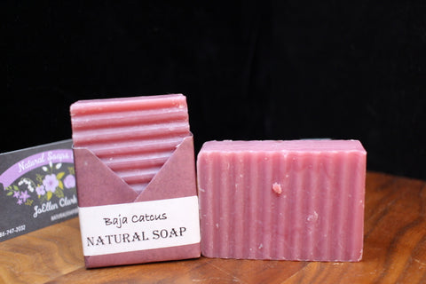 Natural Handmade Baja Cactus Soap by JoEllen Clark