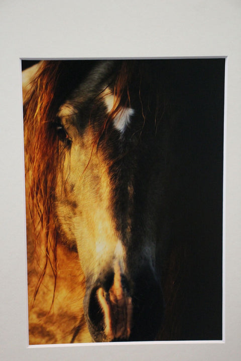 Genna Card Photography Golden Still