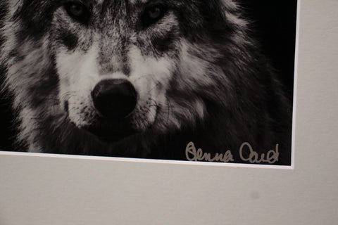 Genna Card Photography Guardian of the Wild
