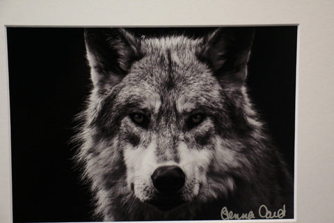 Genna Card Photography Guardian of the Wild