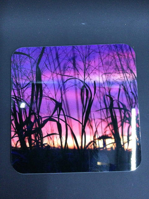 Field with Sunset Photography Coaster by Genna Card