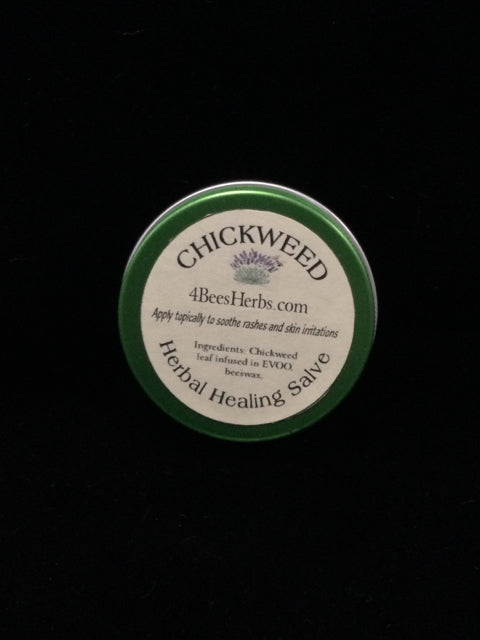 Chickweed Herbal Healing Salve by 4 Bees Herbs