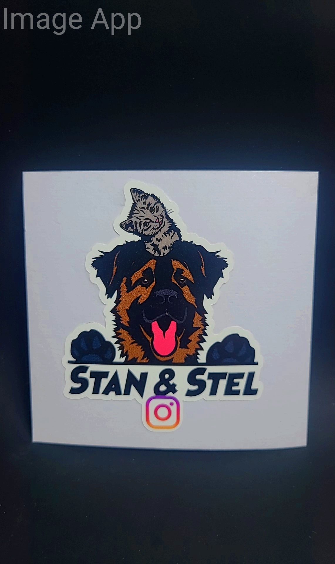 Stan and Stel Sticker