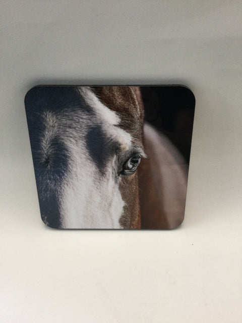 Blue Eyed Horse Closeup Photography Coaster by Genna Card