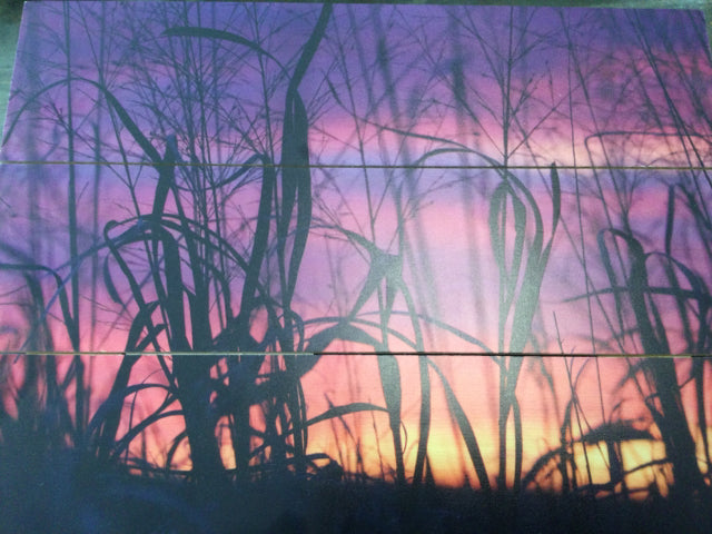 Grass Silhouette with Sunset on Wood by Genna Card