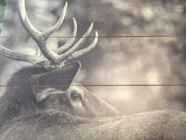 Greyscale Deer on Wood by Genna Card