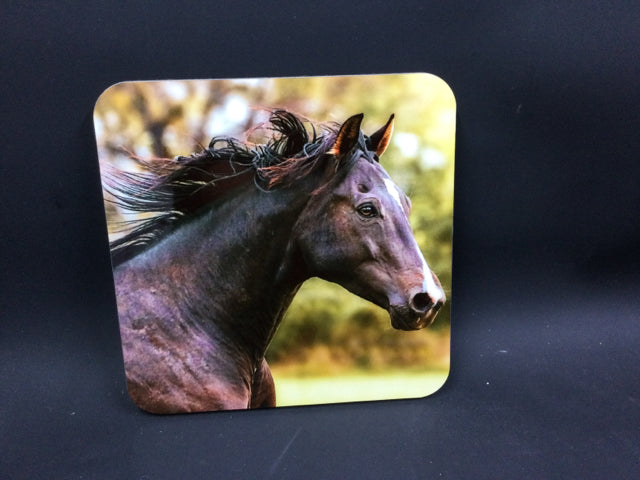 Black Horse Coaster by Genna Card