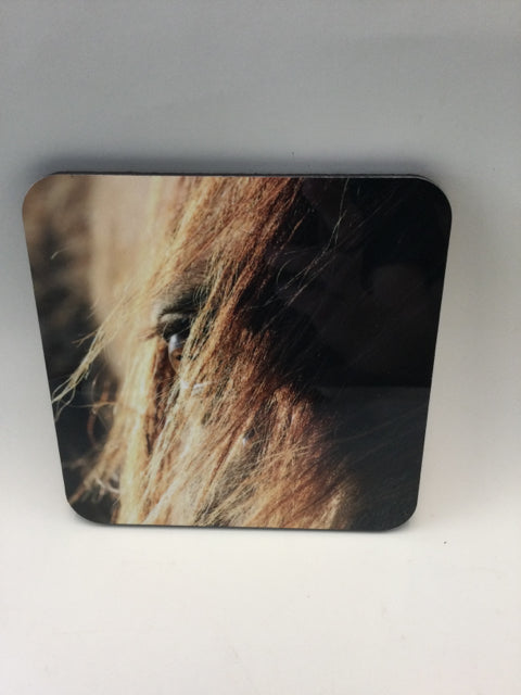 Horse Eye Closeup Photography Coaster by Genna Card