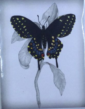 Swallowtail Heaven Card by Carol Schulte