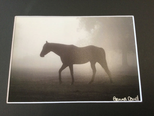 Horse in Fog Photography by Genna Card